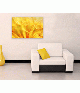 Tablou canvas Abstract dandelion flower